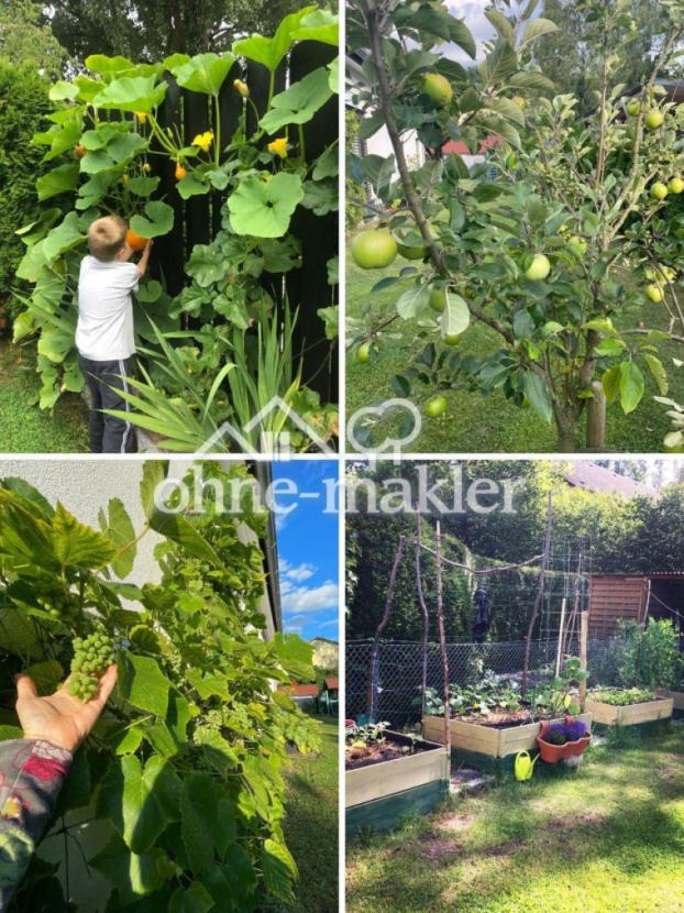 Grüne Oase mit Obst und Gemüse