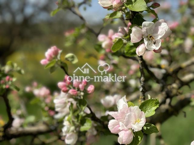 ein "blühendes" Anwesen