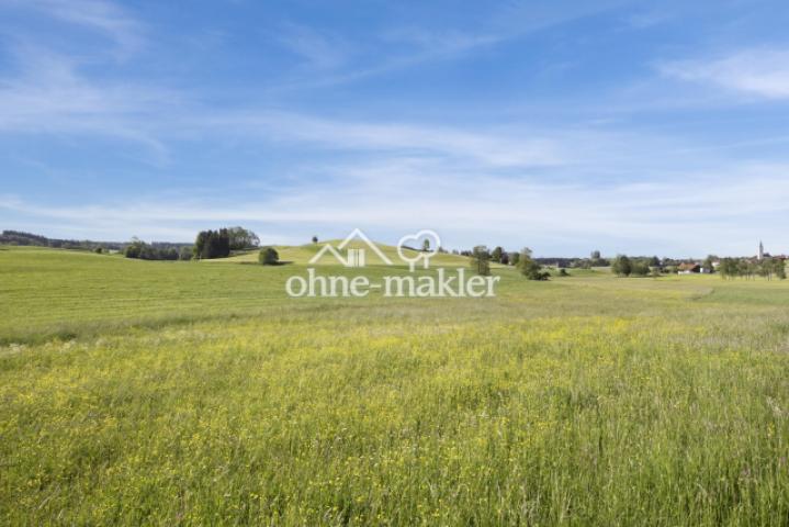 weite eigene Flächen am Haus