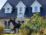 Rückansicht mit Garten