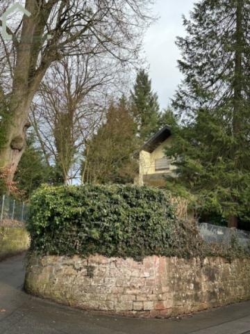 Wohnung in bester Lage