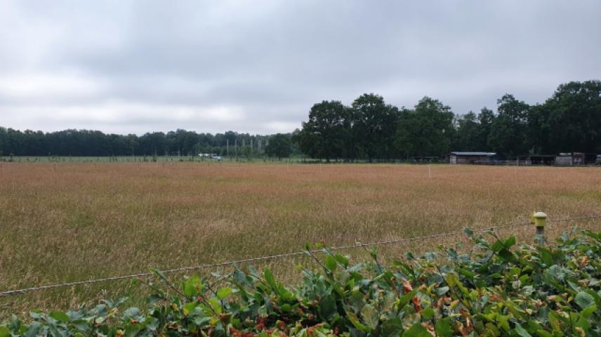 Ausblick Richtung Stadtpark