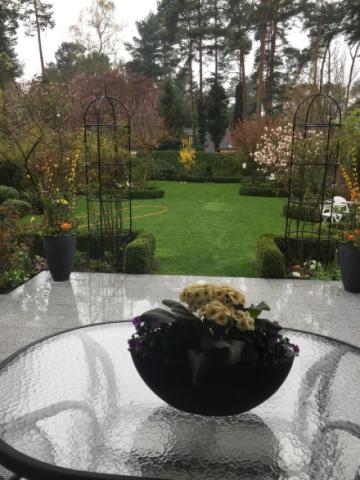 Blick von der Terrasse