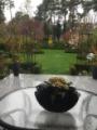 Blick von der Terrasse