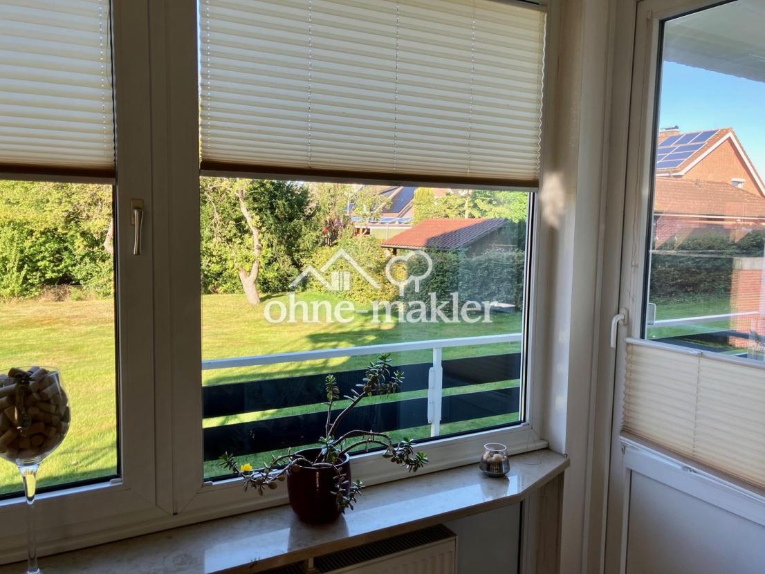 Blick in den Garten