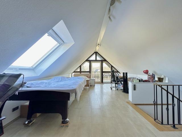 DG Studio 