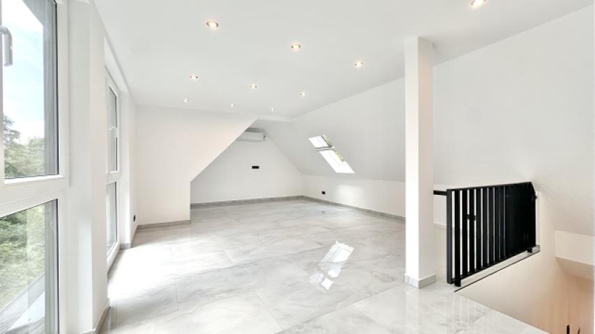 DG Studio 