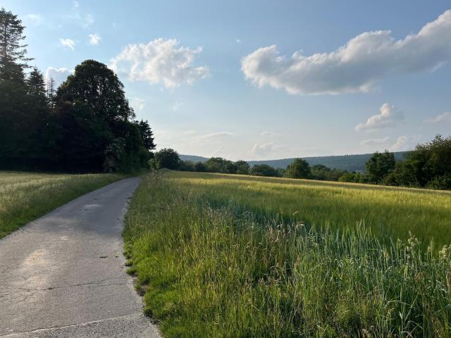 Umgebung