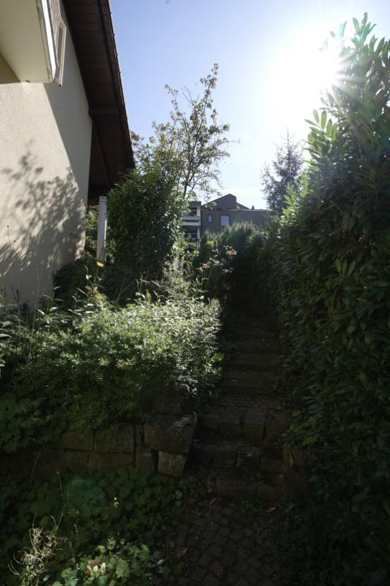 8-seitlicher Nebenzugang zu Garten