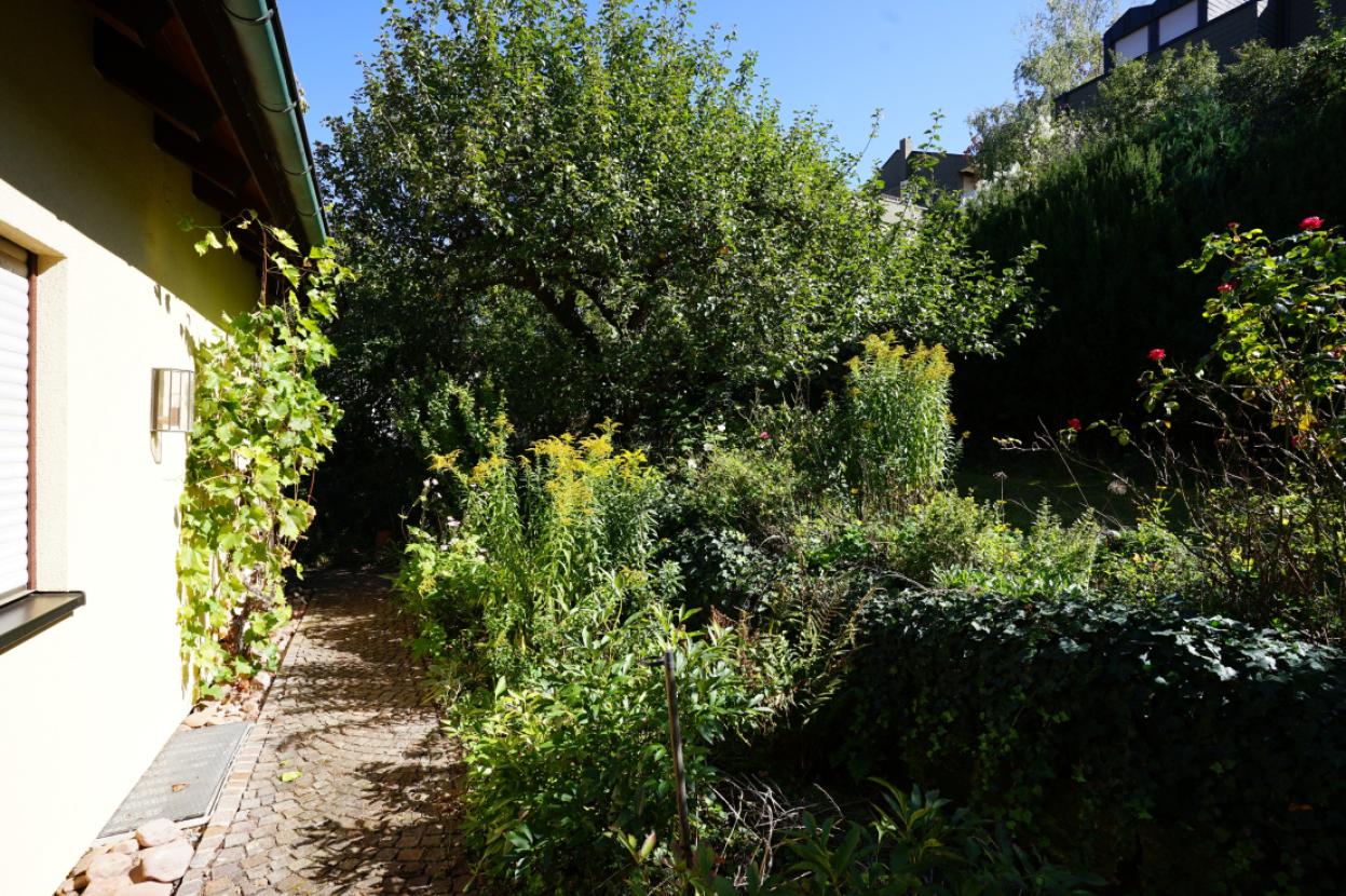 10-Rundgang zu Terrasse v. Garage