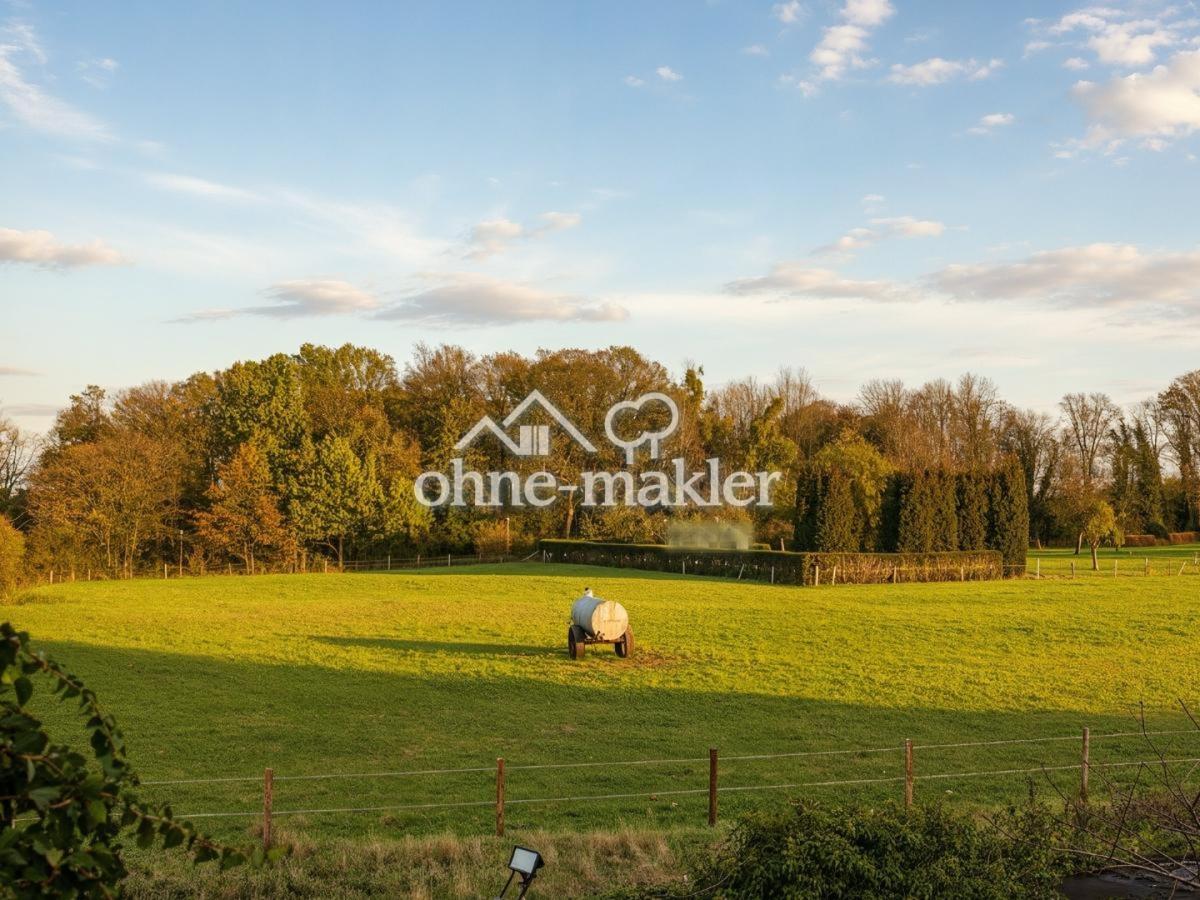 Blick ins Grüne
