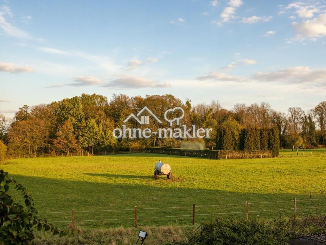 Blick ins Grüne