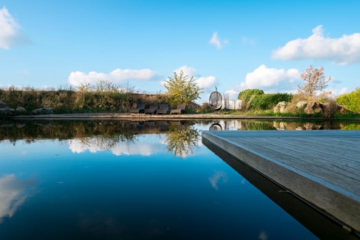Schwimmteich