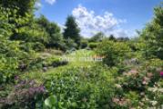 Blick in den Sommergarten