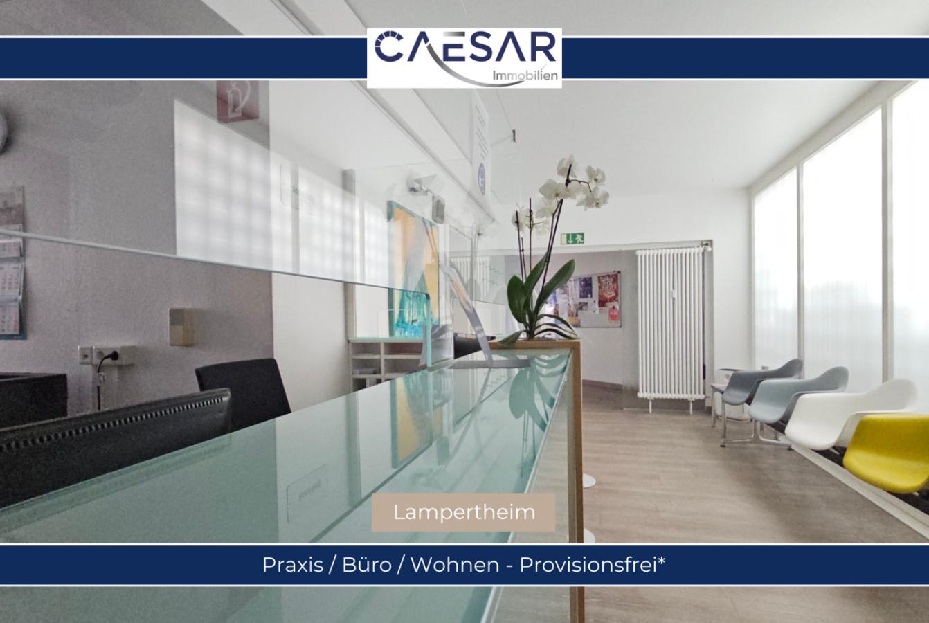 Praxis_Büro_Wohnen Viel Platz für Ihre Ideen