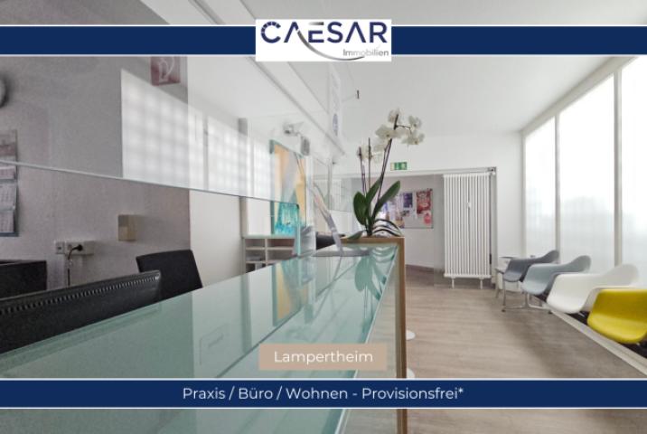 Praxis_Büro_Wohnen Viel Platz für Ihre Ideen