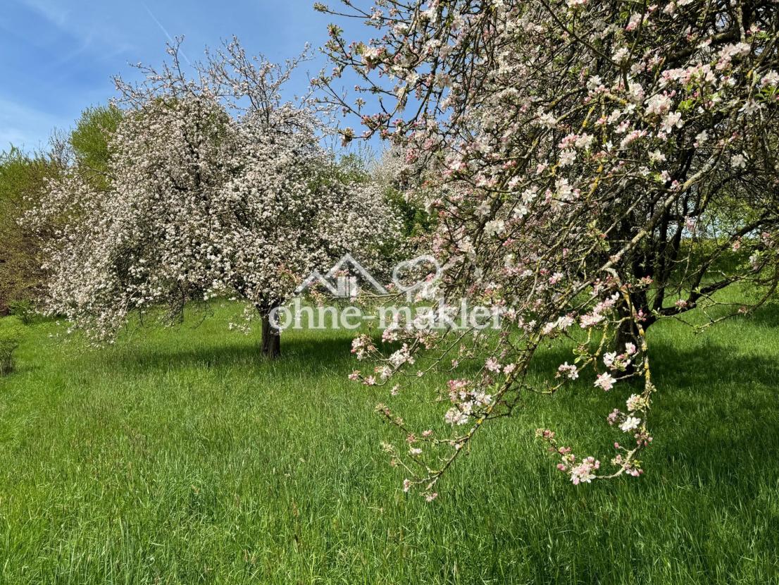 Ruhe pur