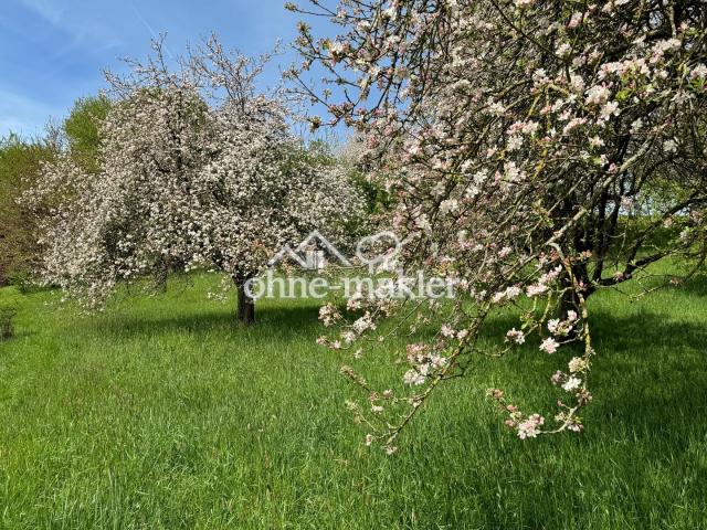 Ruhe pur