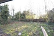 Blick in den hinteren Gartenteil