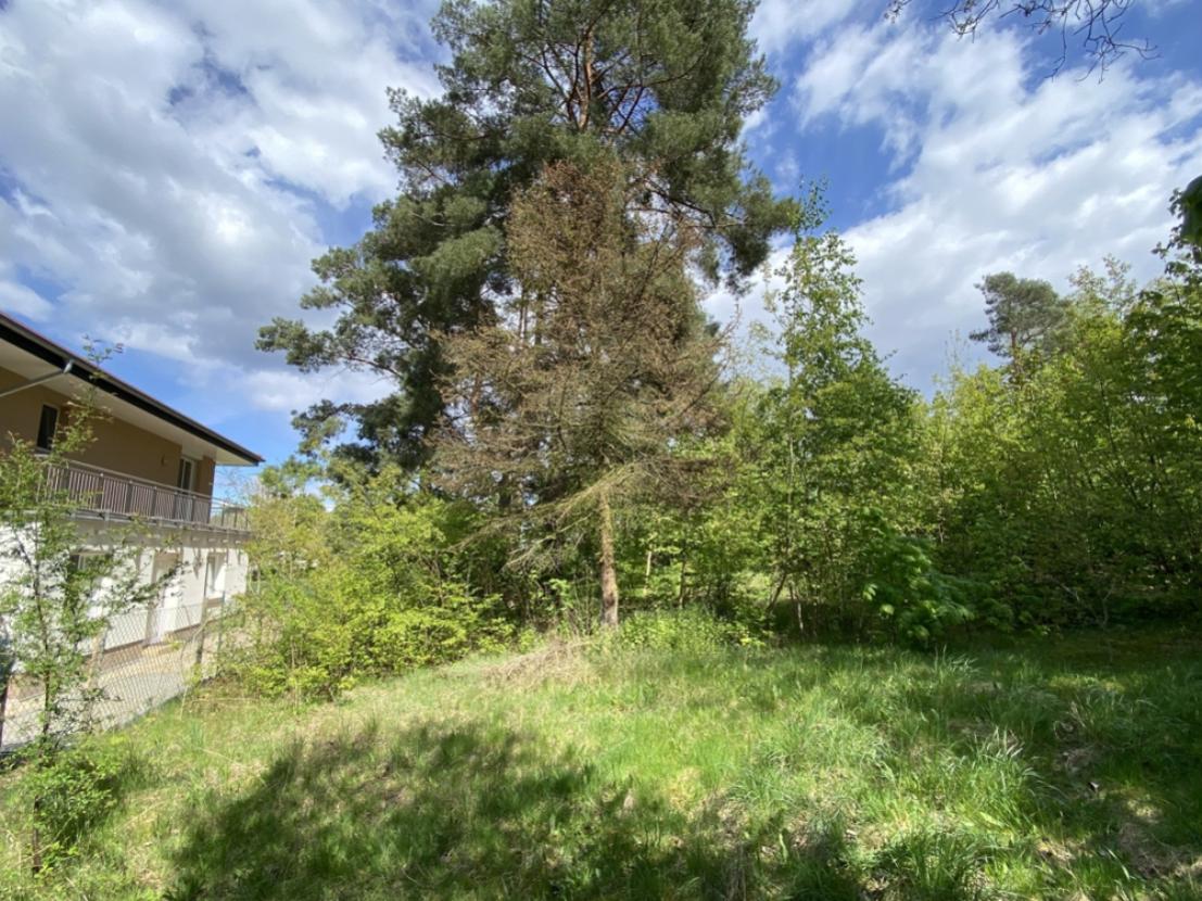 Grundstück - Blick zur Straßenseite