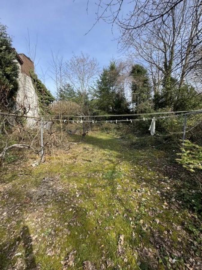 00008