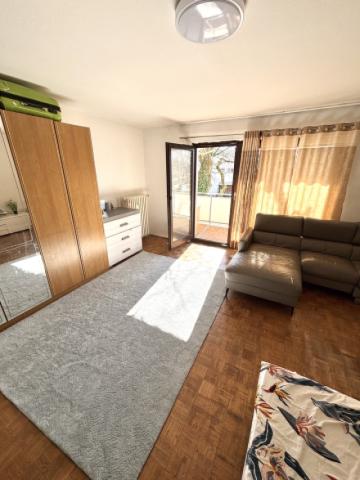 Zimmer1