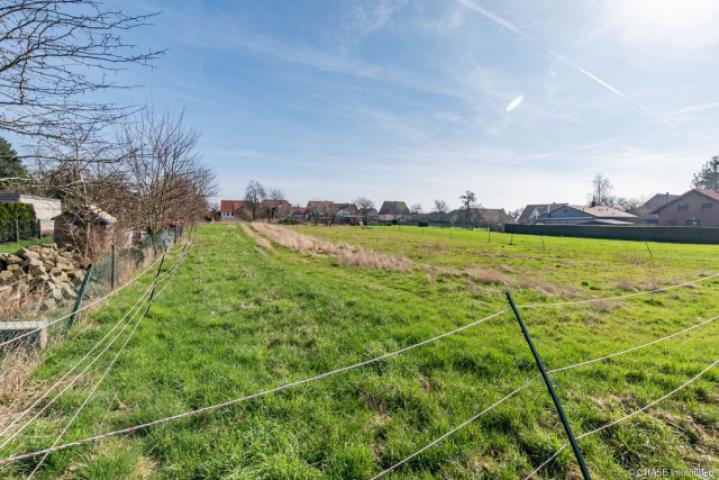 Baugrundstück Bodenansicht Feldseite 1