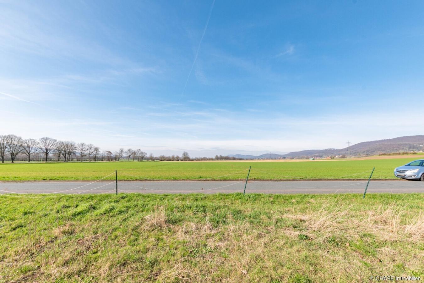 Feldblick