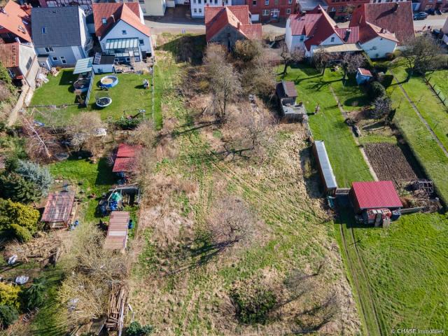Hinterer Teil Baugrundstück mit Wildwuchs