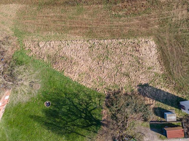 Gartengrundstück, Streuobstwiese - Luftansicht