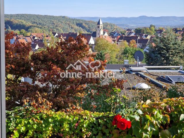 Blick von Terrasse