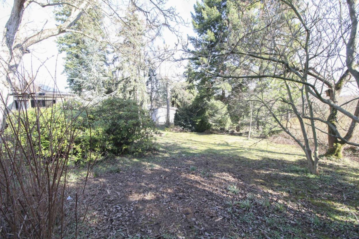 hinterer Grundstücksbereich mit Gartenhaus