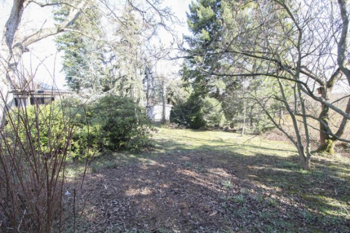 hinterer Grundstücksbereich mit Gartenhaus