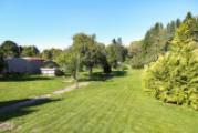 Garten (3)