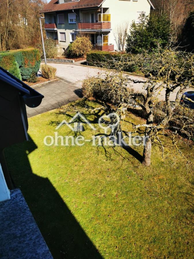 Blick in den Vorgarten