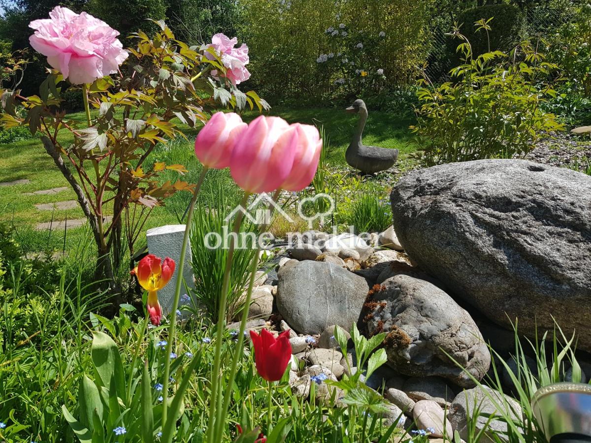 Garten 2