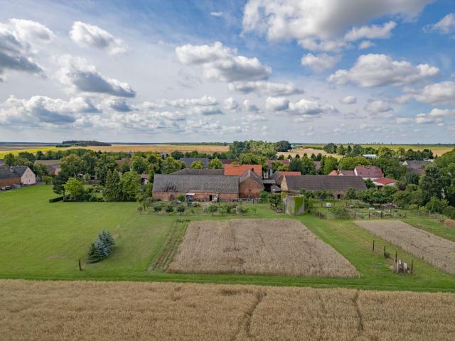 Blick auf den Garten