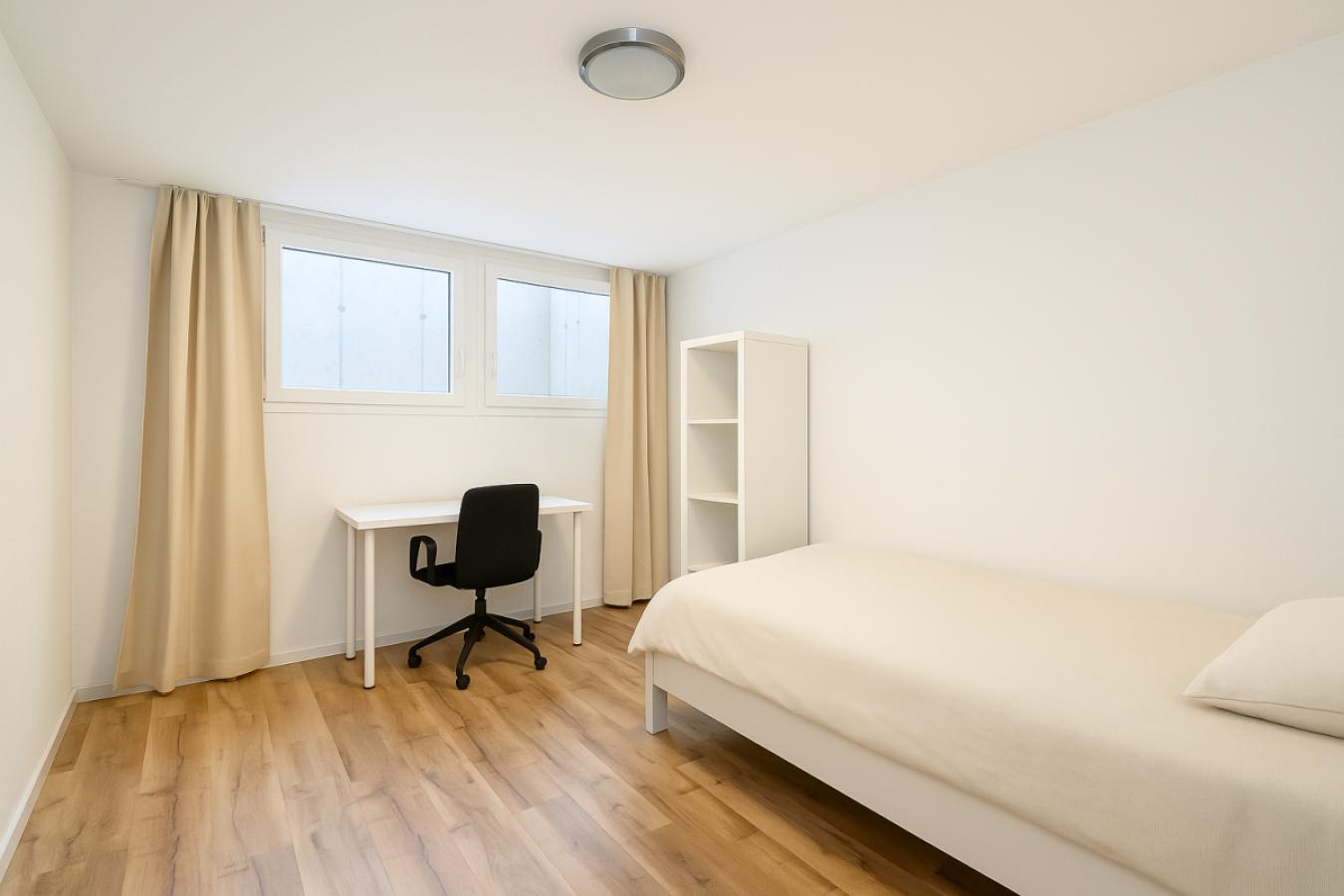 ZIMMER 3