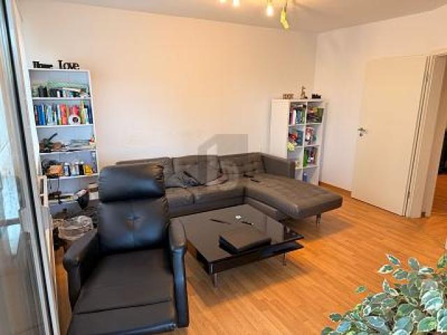 Bild