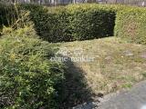 Vorgarten Strassenseite