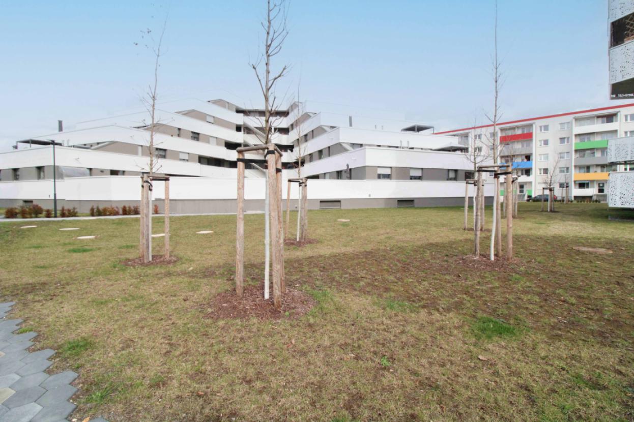 Rückansicht