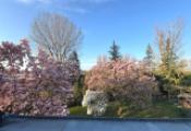 Ausblick Balkon