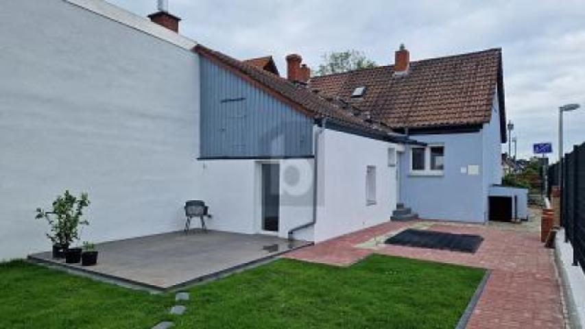 Bild