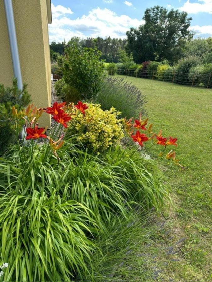 Grundstück