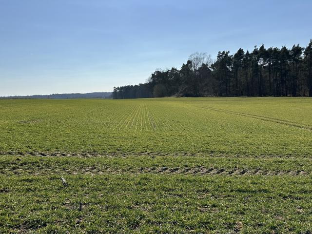 Angrenzender Acker