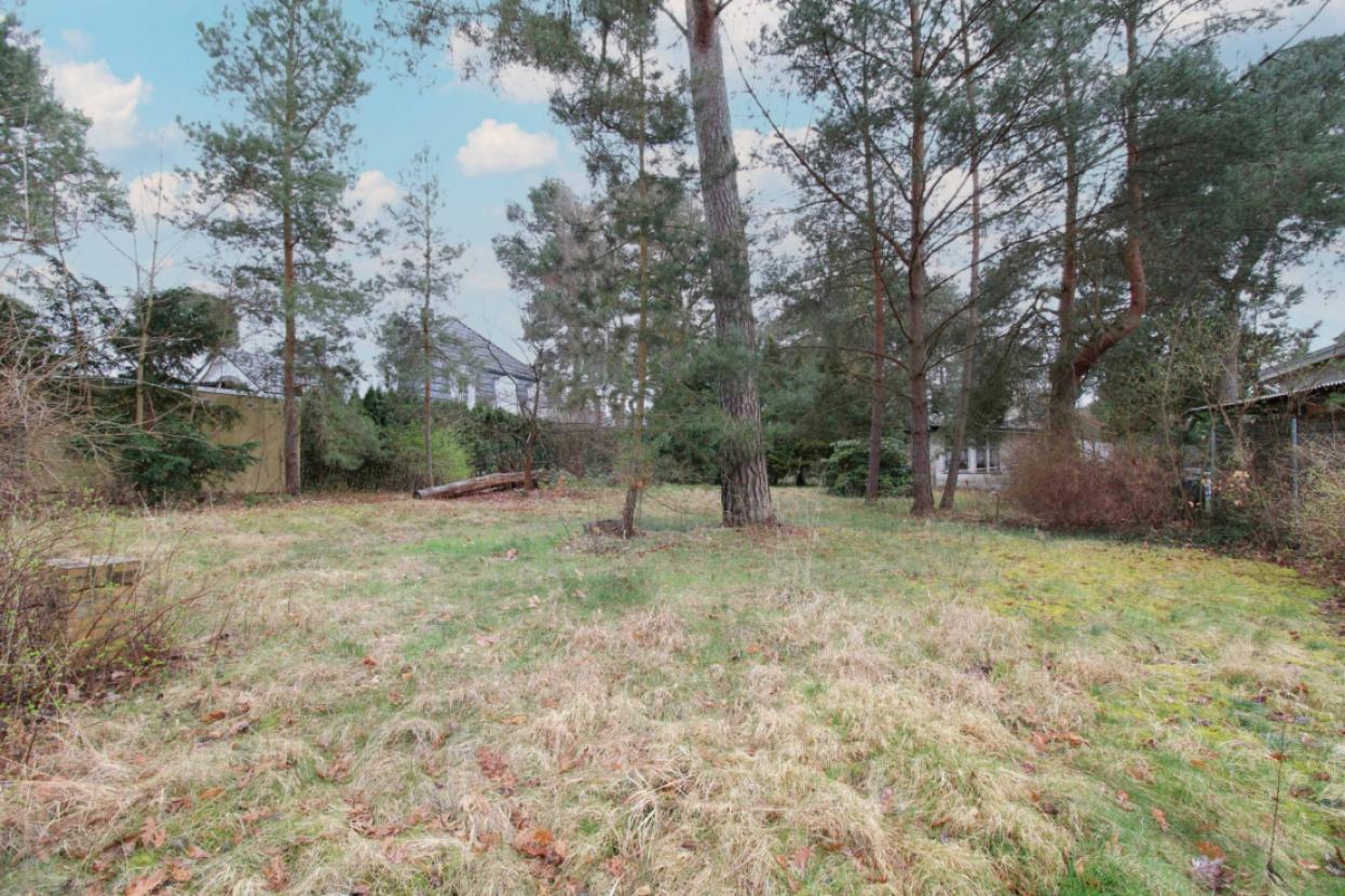 Vorderer Grundstücksbereich