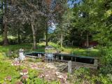 Außenansicht Pool und Garten