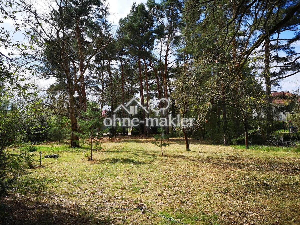 Blick auf dem Grundstück 