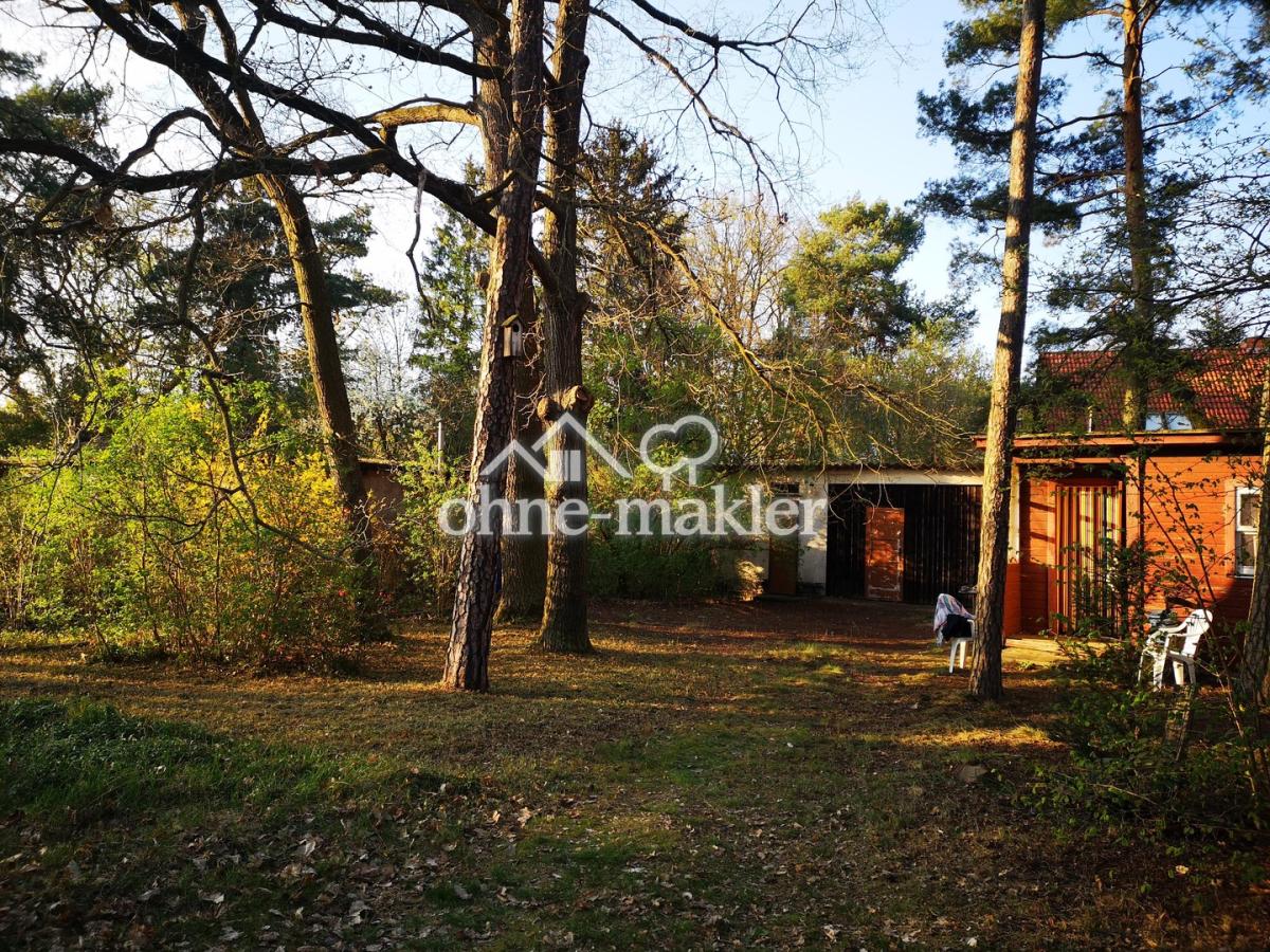 Blick in den hinteren Teil