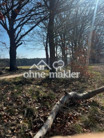 Wald in unmittelbarer Nähe